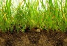 Cedartonsub-soil-drainage-6.jpg; ?>